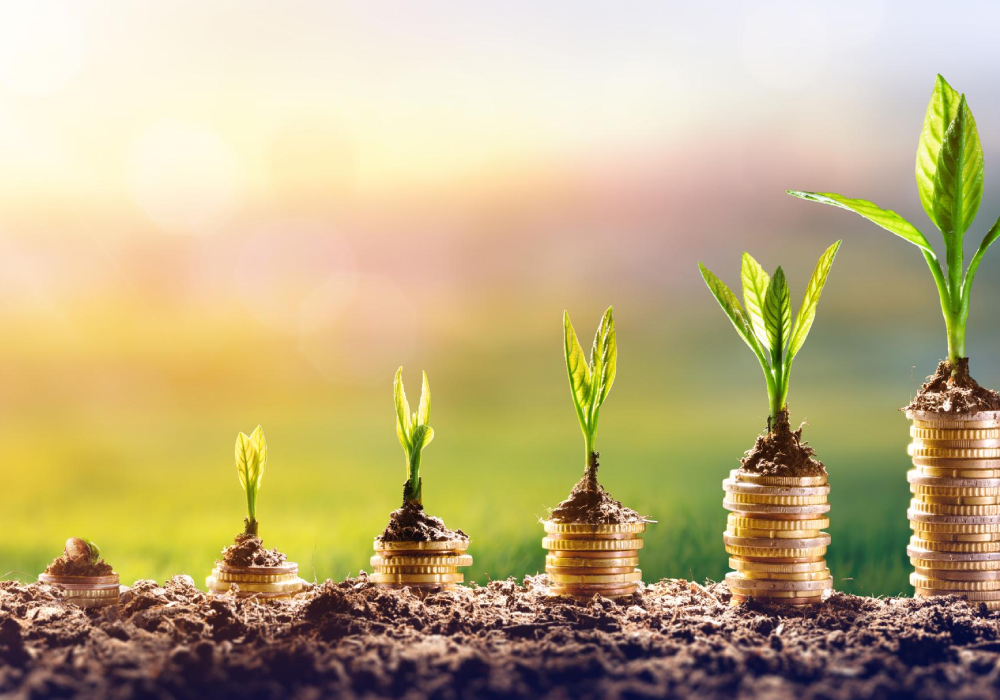 Bullish future expected for EAM industry: BFI@SMU Research Report